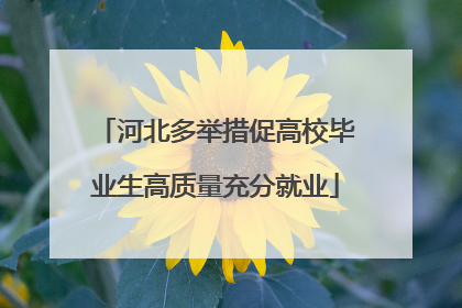 河北多举措促高校毕业生高质量充分就业