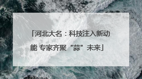 河北大名：科技注入新动能 专家齐聚“蒜”未来