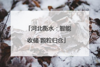 河北衡水：智能收储 颗粒归仓