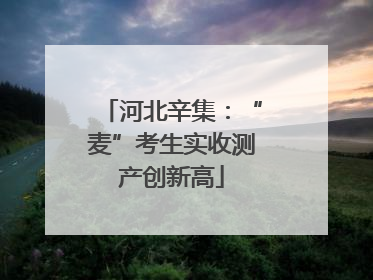 河北辛集：“麦”考生实收测产创新高