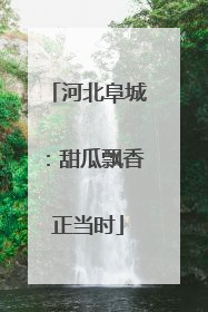 河北阜城：甜瓜飘香正当时