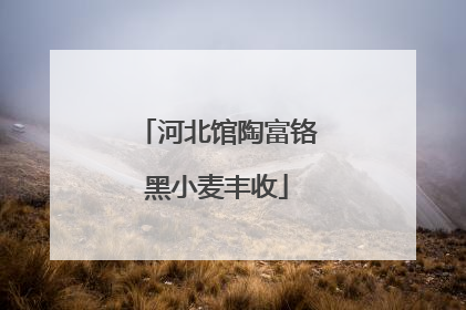 河北馆陶富铬黑小麦丰收