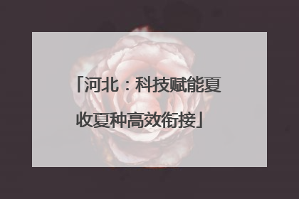 河北：科技赋能夏收夏种高效衔接