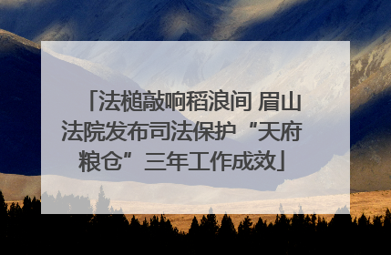 法槌敲响稻浪间 眉山法院发布司法保护“天府粮仓”三年工作成效