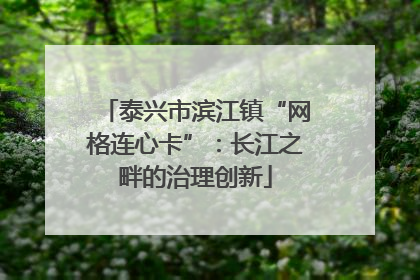 泰兴市滨江镇“网格连心卡”：长江之畔的治理创新