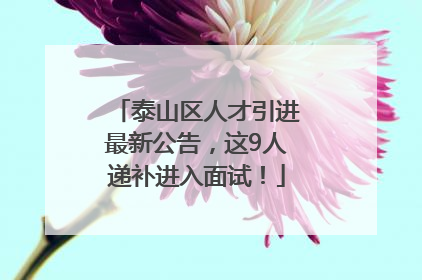 泰山区人才引进最新公告，这9人递补进入面试！