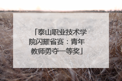 泰山职业技术学院闪耀省赛：青年教师勇夺一等奖