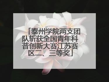 泰州学院两支团队斩获全国青年科普创新大赛江苏赛区二、三等奖