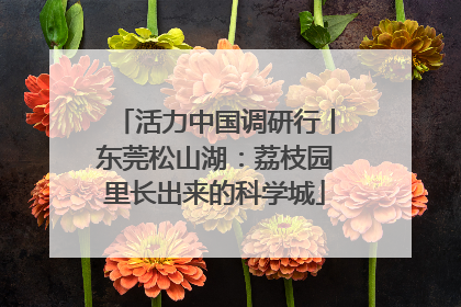 活力中国调研行丨东莞松山湖：荔枝园里长出来的科学城