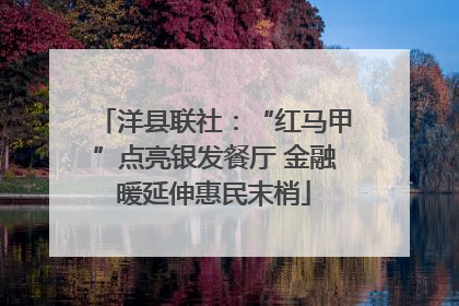 洋县联社：“红马甲”点亮银发餐厅 金融暖延伸惠民末梢