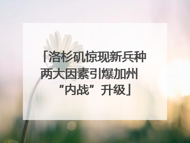 洛杉矶惊现新兵种 两大因素引爆加州“内战”升级