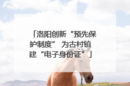 洛阳创新“预先保护制度” 为古村镇建“电子身份证”