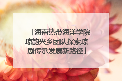海南热带海洋学院琼韵兴乡团队探索琼剧传承发展新路径