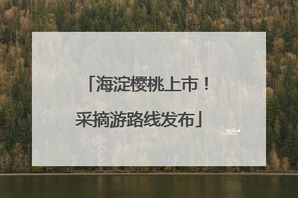 海淀樱桃上市！采摘游路线发布