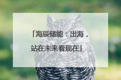 海辰储能：出海，站在未来看现在
