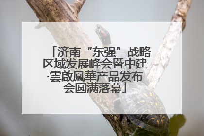 济南“东强”战略区域发展峰会暨中建·雲啟鳳華产品发布会圆满落幕