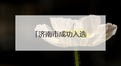 济南市成功入选首批全国零售业创新提升试点城市