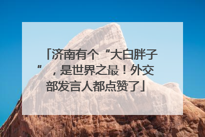 济南有个“大白胖子”，是世界之最！外交部发言人都点赞了