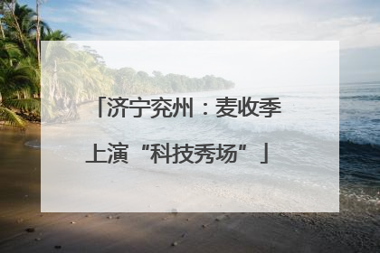 济宁兖州：麦收季上演“科技秀场”