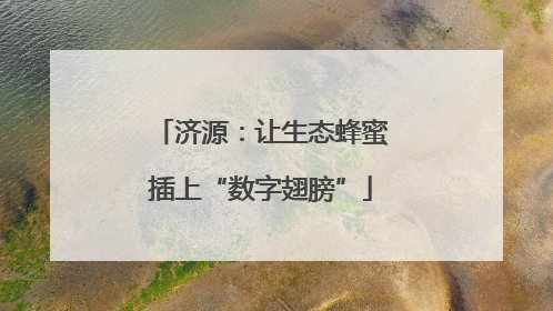 济源：让生态蜂蜜插上“数字翅膀”