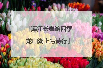 浑江长卷绘四季 龙山湖上写诗行