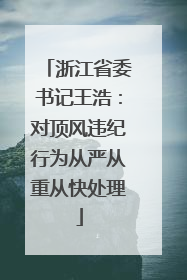 浙江省委书记王浩：对顶风违纪行为从严从重从快处理