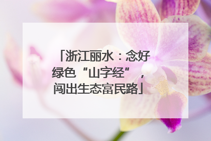 浙江丽水：念好绿色“山字经”，闯出生态富民路