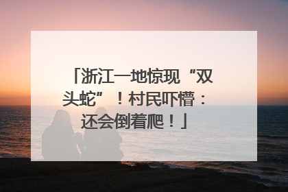 浙江一地惊现“双头蛇”！村民吓懵：还会倒着爬！