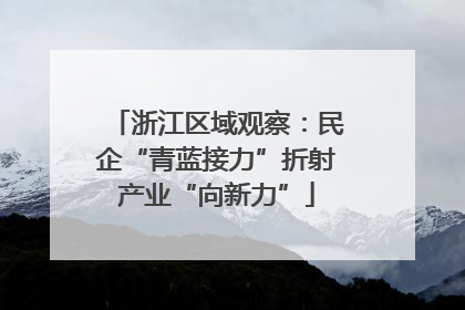 浙江区域观察：民企“青蓝接力”折射产业“向新力”