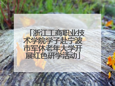 浙江工商职业技术学院学子赴宁波市军休老年大学开展红色研学活动