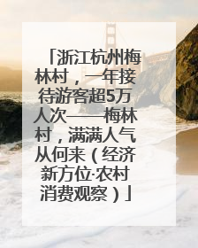 浙江杭州梅林村，一年接待游客超5万人次——梅林村，满满人气从何来（经济新方位·农村消费观察）