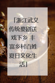 浙江武义传统婺剧送戏下乡 丰富乡村百姓夏日文化生活