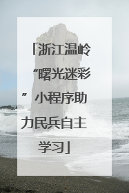 浙江温岭“曙光迷彩”小程序助力民兵自主学习