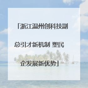 浙江温州创科技副总引才新机制 塑民企发展新优势