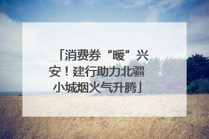 消费券“暖”兴安！建行助力北疆小城烟火气升腾