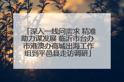 深入一线问需求 精准助力谋发展 临沂市台办 市港澳办商城出海工作组到平邑县走访调研