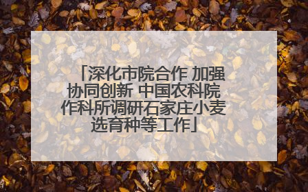 深化市院合作 加强协同创新 中国农科院作科所调研石家庄小麦选育种等工作