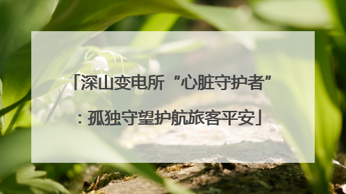 深山变电所“心脏守护者”：孤独守望护航旅客平安