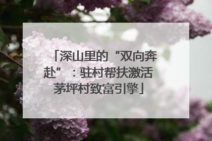 深山里的“双向奔赴”：驻村帮扶激活茅坪村致富引擎
