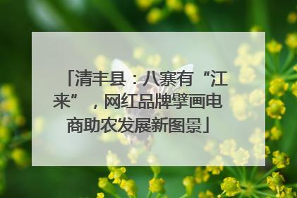 清丰县：八寨有“江来”，网红品牌擘画电商助农发展新图景