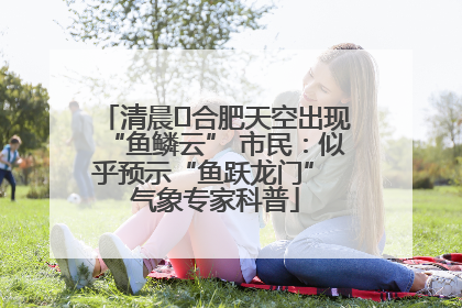 清晨﻿合肥天空出现“鱼鳞云” 市民：似乎预示“鱼跃龙门” 气象专家科普