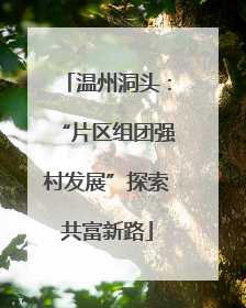 温州洞头：“片区组团强村发展”探索共富新路