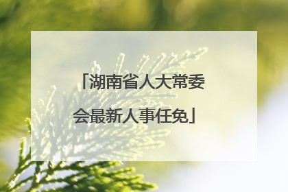 湖南省人大常委会最新人事任免