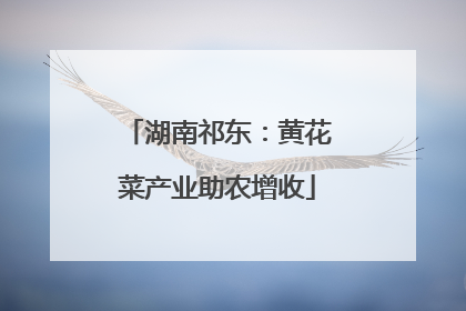 湖南祁东：黄花菜产业助农增收