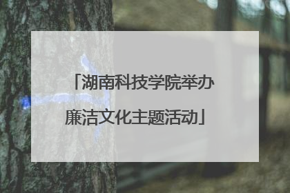 湖南科技学院举办廉洁文化主题活动