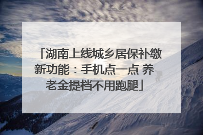 湖南上线城乡居保补缴新功能：手机点一点 养老金提档不用跑腿
