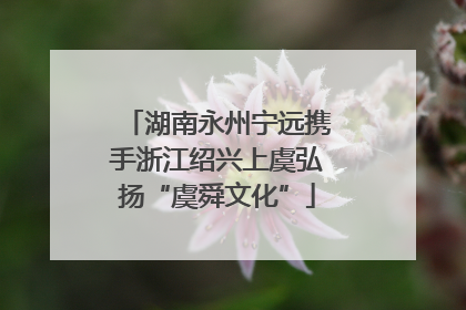 湖南永州宁远携手浙江绍兴上虞弘扬“虞舜文化”