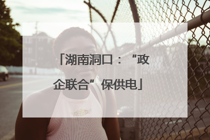 湖南洞口：“政企联合”保供电
