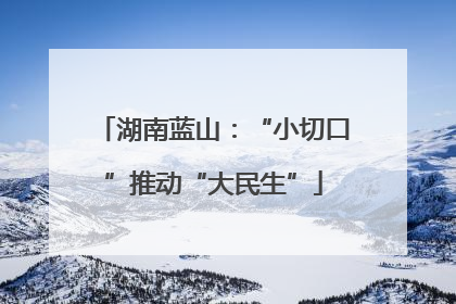 湖南蓝山：“小切口”推动“大民生”