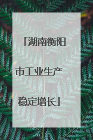 湖南衡阳市工业生产稳定增长